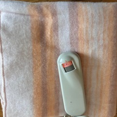 洗える 電気毛布(敷毛布)の画像