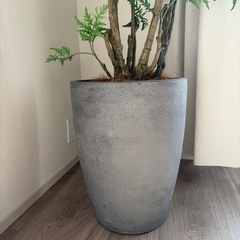 フェイクグリーンの画像