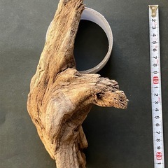 ❻アクアリウム・流木の画像