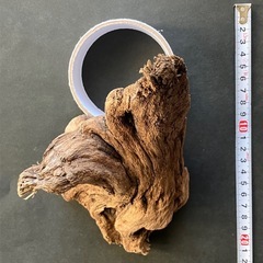 ❻アクアリウム・流木の画像