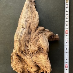 ❻アクアリウム・流木の画像