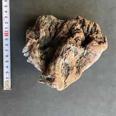 アクアリウム・流木の画像