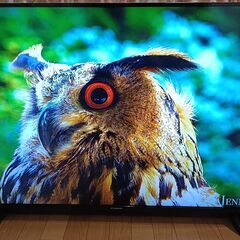 無料配送 美品 2024年 55V型 FUNAI/フナイ4K FL-55U3060 HDR10 Amazon Fire TV Stick付き(165）の画像