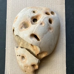 アクアリウム・石の画像