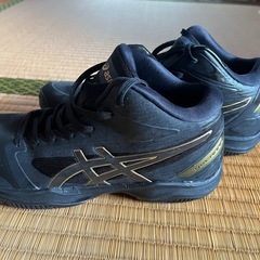 バッシュ
の画像