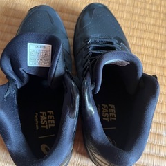 バッシュ
の画像