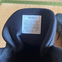 バッシュ
の画像