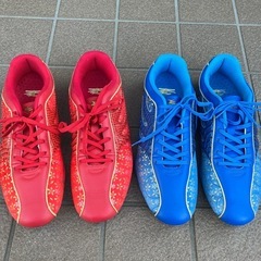 メンズ靴　ドラゴンベアード29センチの画像