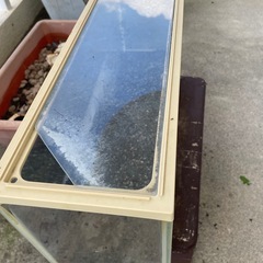 水槽の画像
