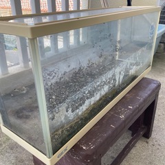 水槽の画像