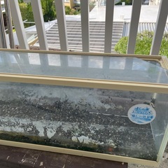 水槽の画像
