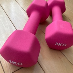 　　運動　鉄アレイ　リングローラーの画像