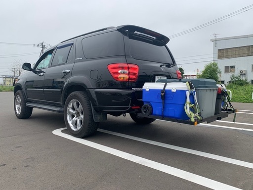 ヒッチ　キャリア　カーゴ　ワンオフ　規格外