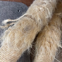 カインズ　キャットタワーの画像