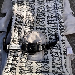 エアバギー　ココ　　チャイルドシート　ベビーカーの画像