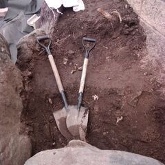 【無料】土です。（家庭菜園、植栽に）いかがでしょうか。の画像