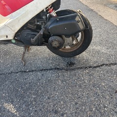 希少18dioの画像