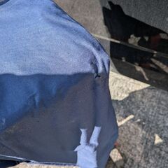 コールマンカートの画像