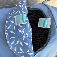 Apricaラクシーナ AB型ベビーカーの画像