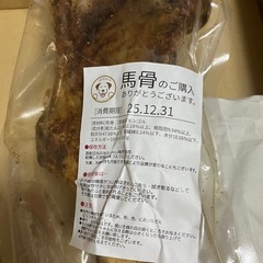 馬骨　犬の画像