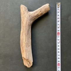 ❶
アクアリウム・流木の画像