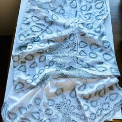 レースの上下セット（11号くらい）の画像