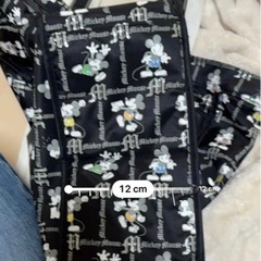 ミッキーバックの画像