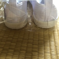 うわばき24.5　新品の画像