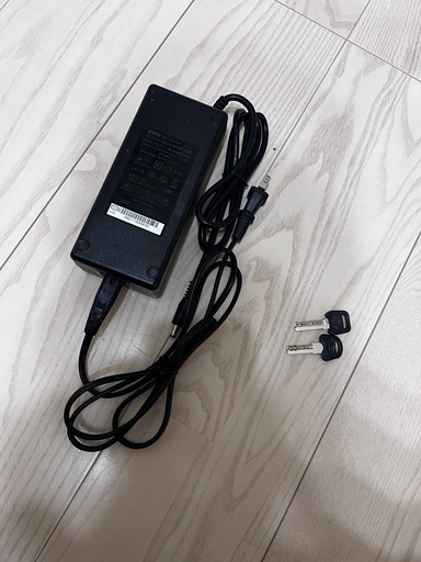 折り畳み電動自転車　Peltech TDN-206L 20インチ