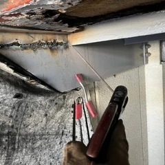 明日！12月2日.川崎大師駅7:30 12月10日払い　手元とテント倉庫の張り替えなど手伝って下さい!の画像