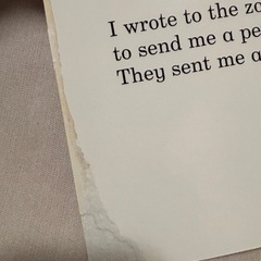 Dear Zoo 洋書の画像