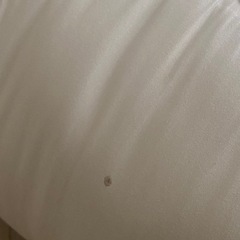 布団セットの画像