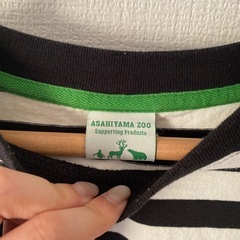 ニコアンド Tシャツの画像