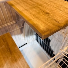 猫ケージの画像
