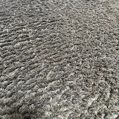 カーペット【ニトリ】の画像