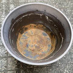 メダカ鉢、差し上げますの画像