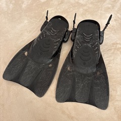 フィン(Mサイズ)の画像
