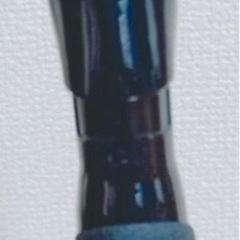 値下げ　ダイワ　エギングロッド　エメラルダス　AIR 86M・K(2ピース)の画像