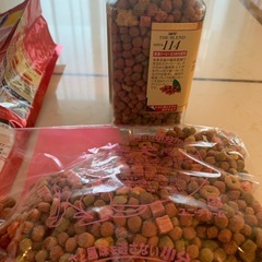 ドッグフード　シニア用の画像