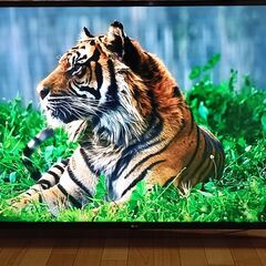 【訳アリ】無料配送 2020年 50V型 LG 50UN7000PUC HDR10 リモコン付き(875)の画像