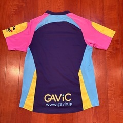 GAVICセットアップの画像