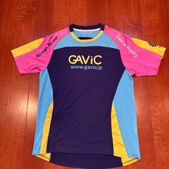 GAVICセットアップの画像