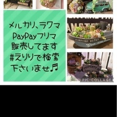 【直接引き取り限定】3Ｄダイナソー リメイク缶 5点set☆サボテン 多肉植物 リメイク鉢の画像