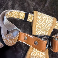 ハーネス　　犬用の画像