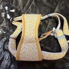 ハーネス　　犬用の画像