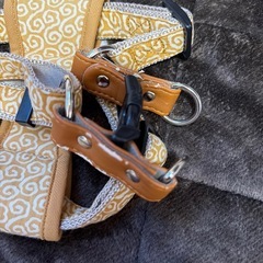 ハーネス　　犬用の画像