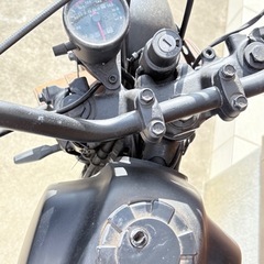 YAMAHA TW200の画像