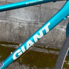 ジャイアントESCAPE R3の画像