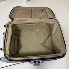 大きめのキャリーケースの画像