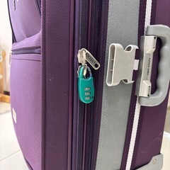 大きめのキャリーケースの画像